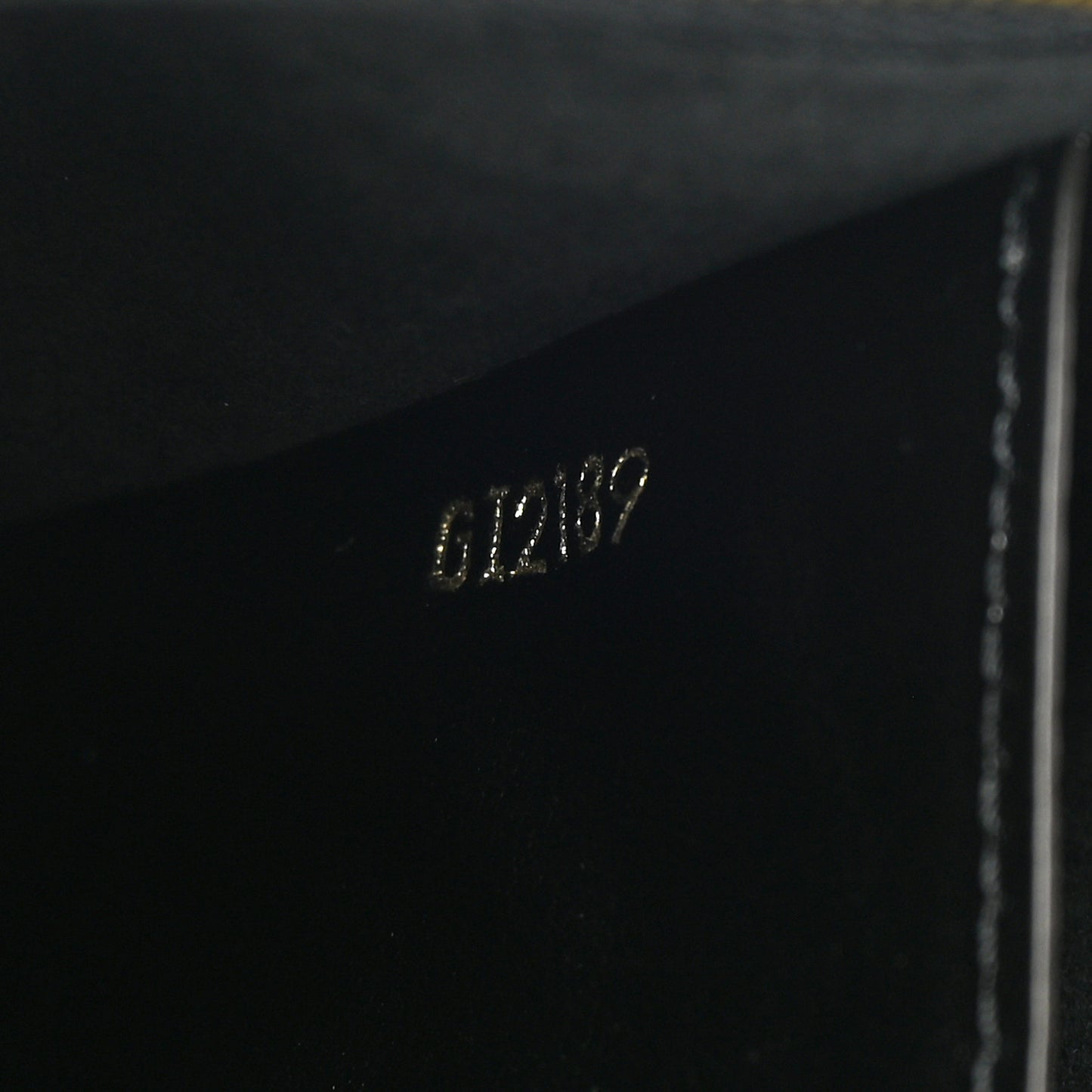 Monogram Giant Jungle Pochette Double Zip Black