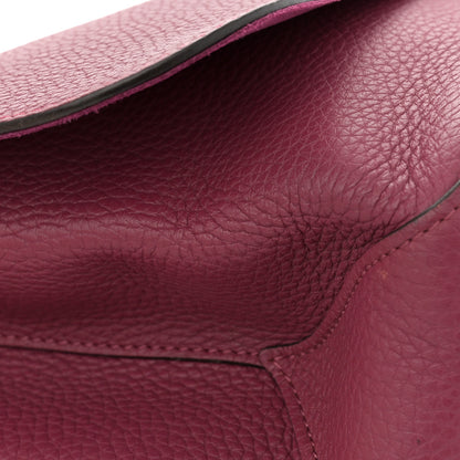 Louis Vuitton Taurillon Volta Grenat 12 of 13