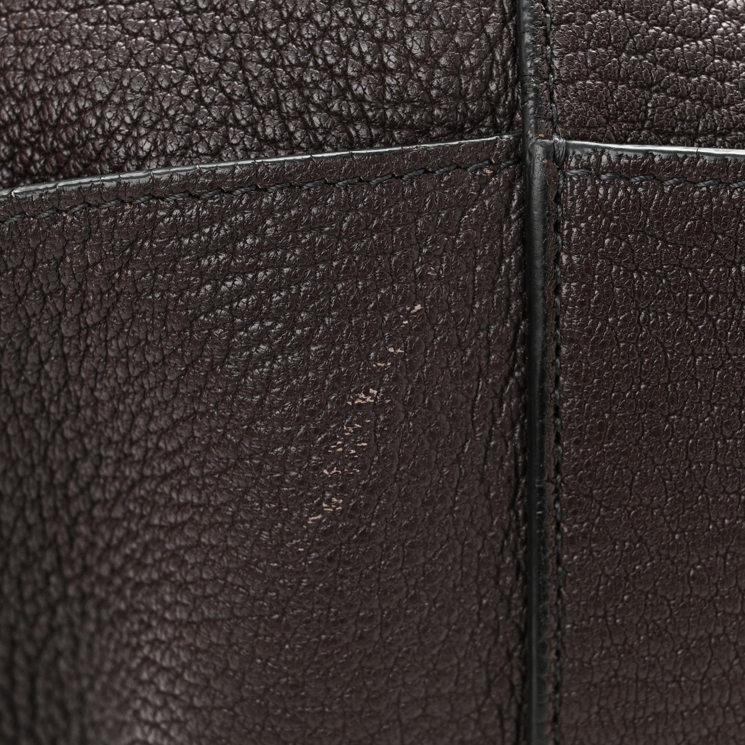 Celine Soft Grained Calfskin Sangle Bucket Bag Ecorce 11 of 13