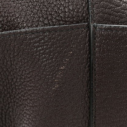 Celine Soft Grained Calfskin Sangle Bucket Bag Ecorce 11 of 13