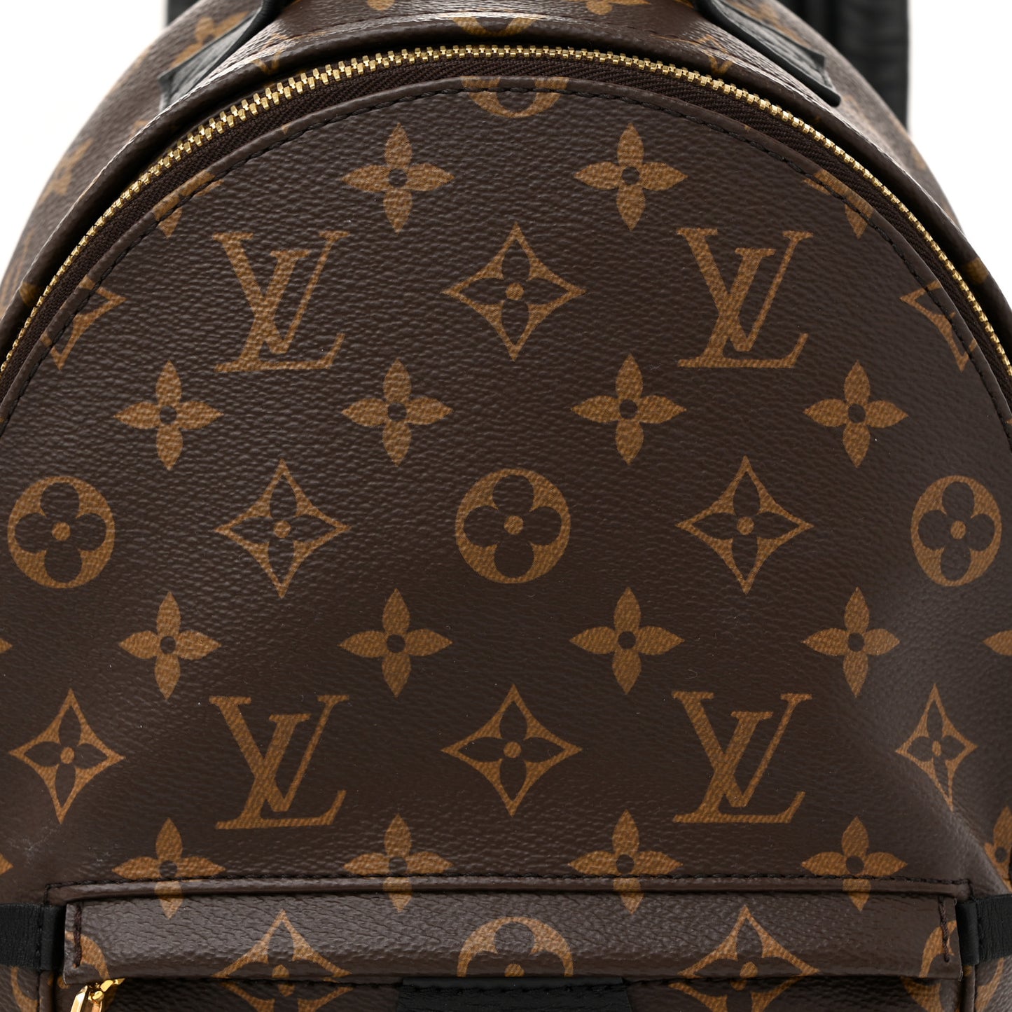 Monogram Palm Springs Backpack PM