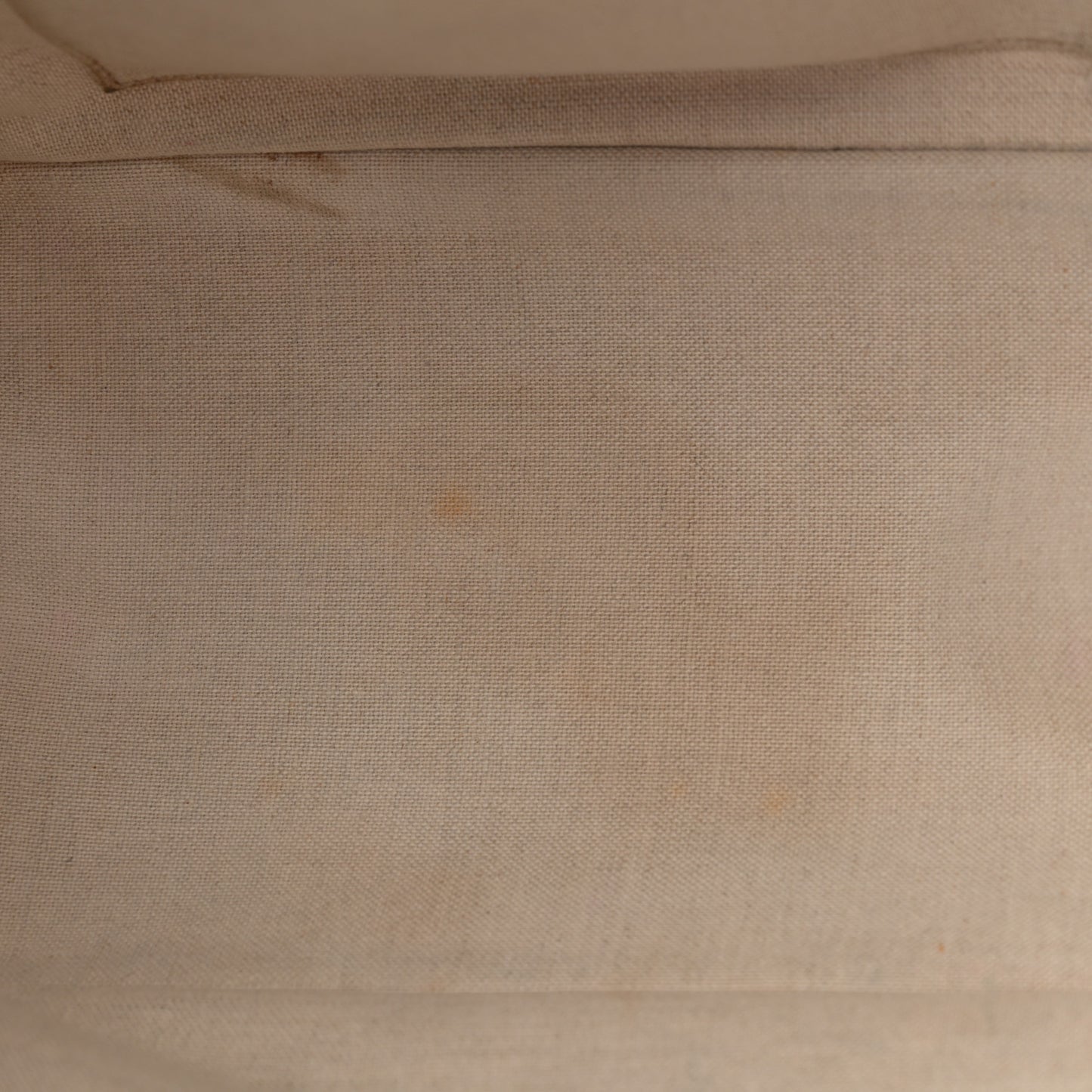 Canvas Small Iliad Shopping Tote Beige