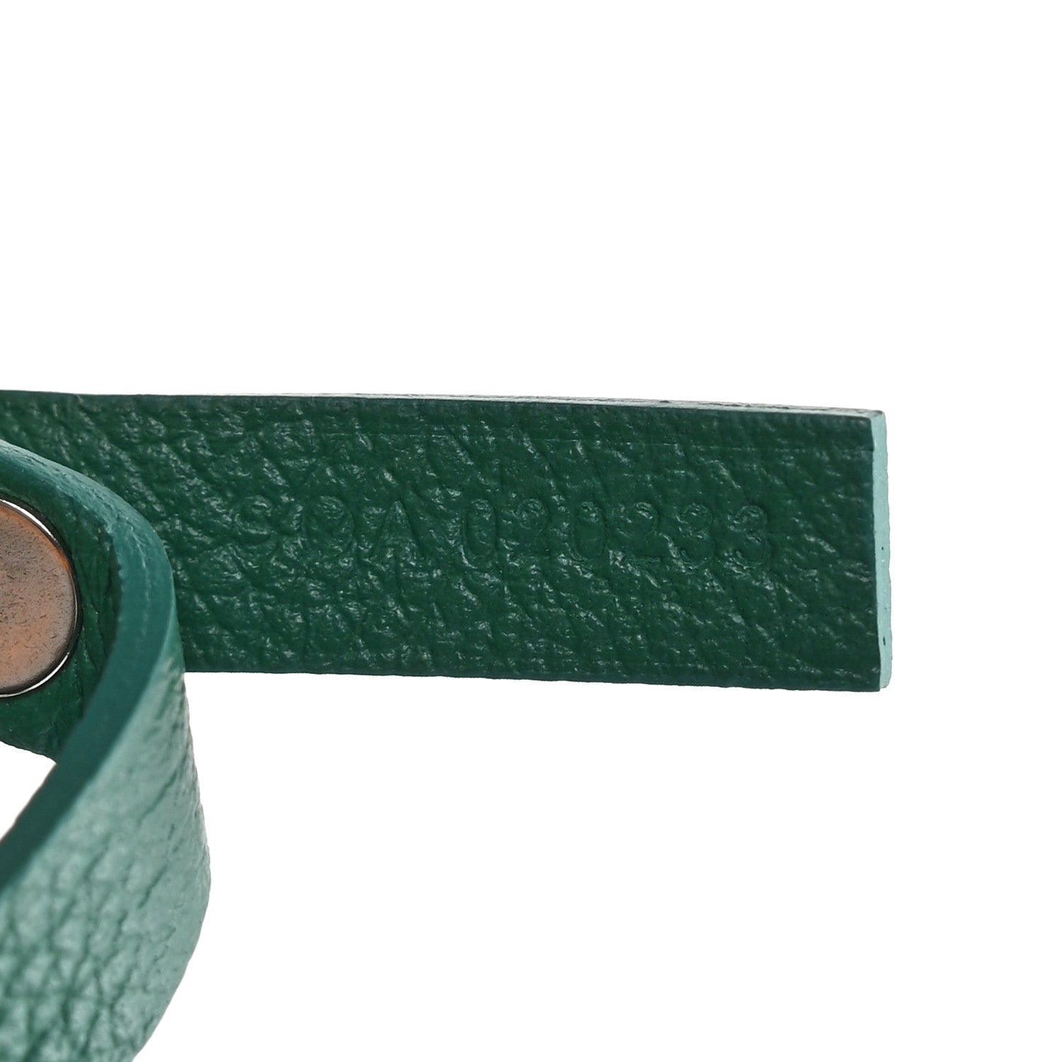 Goyard Goyardine Saint Louis PM Green 8 of 11