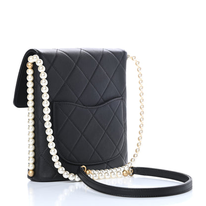 Chanel Calfskin Quilted Pearl Small About Pearls Hobo Bag Black 3 of 13