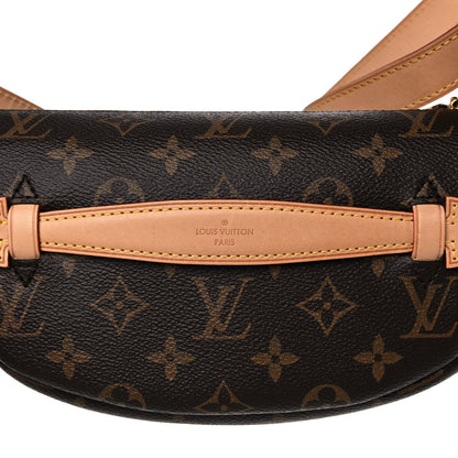 Louis Vuitton Monogram Bumbag 11 of 14