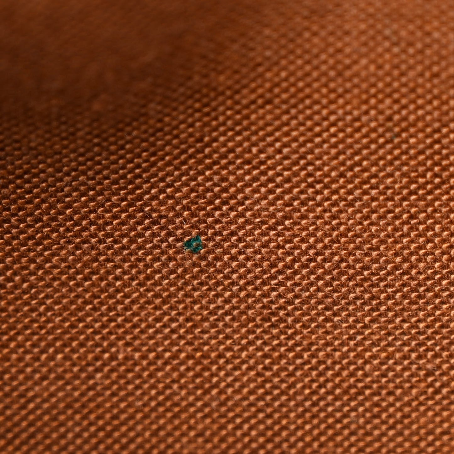Monogram Saumur 30