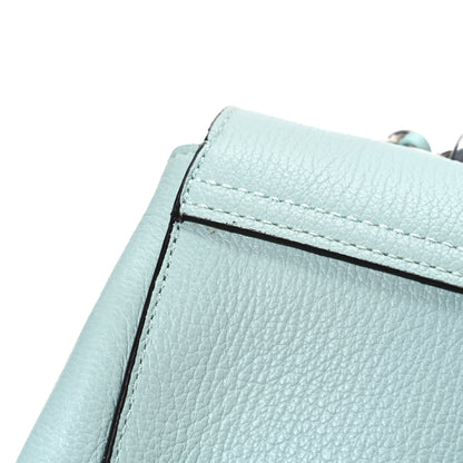 Mulberry Small Classic Grain Medium Lily Acrylic Green 10 of 11