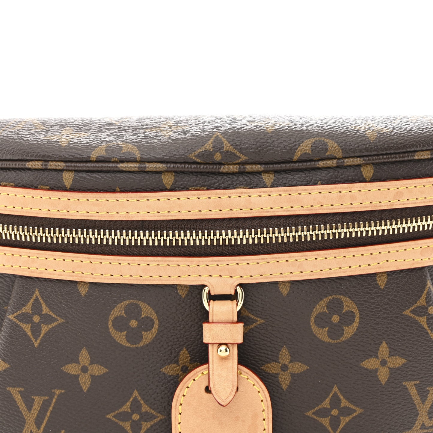 Monogram High Rise Bumbag