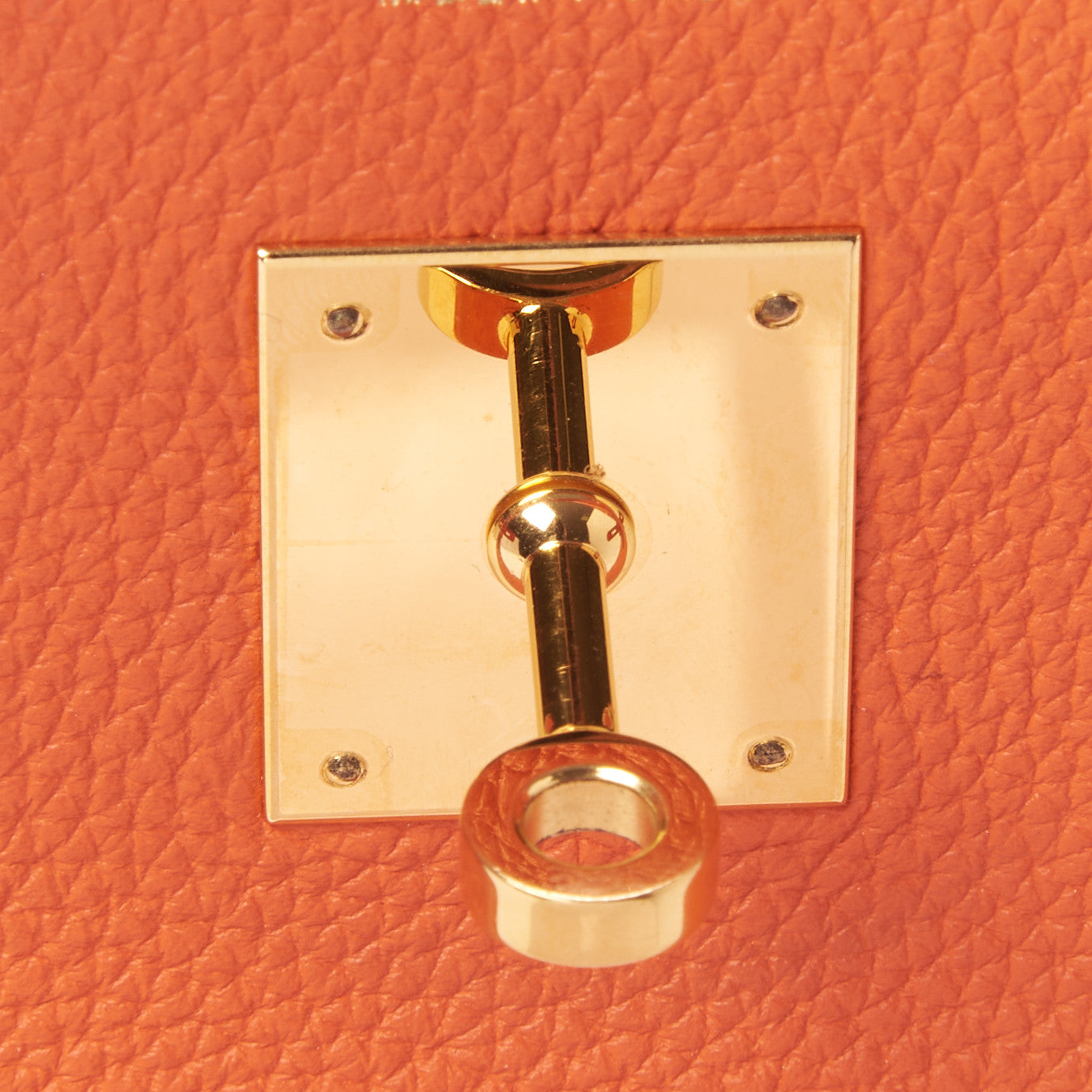 Togo Birkin 30 Feu