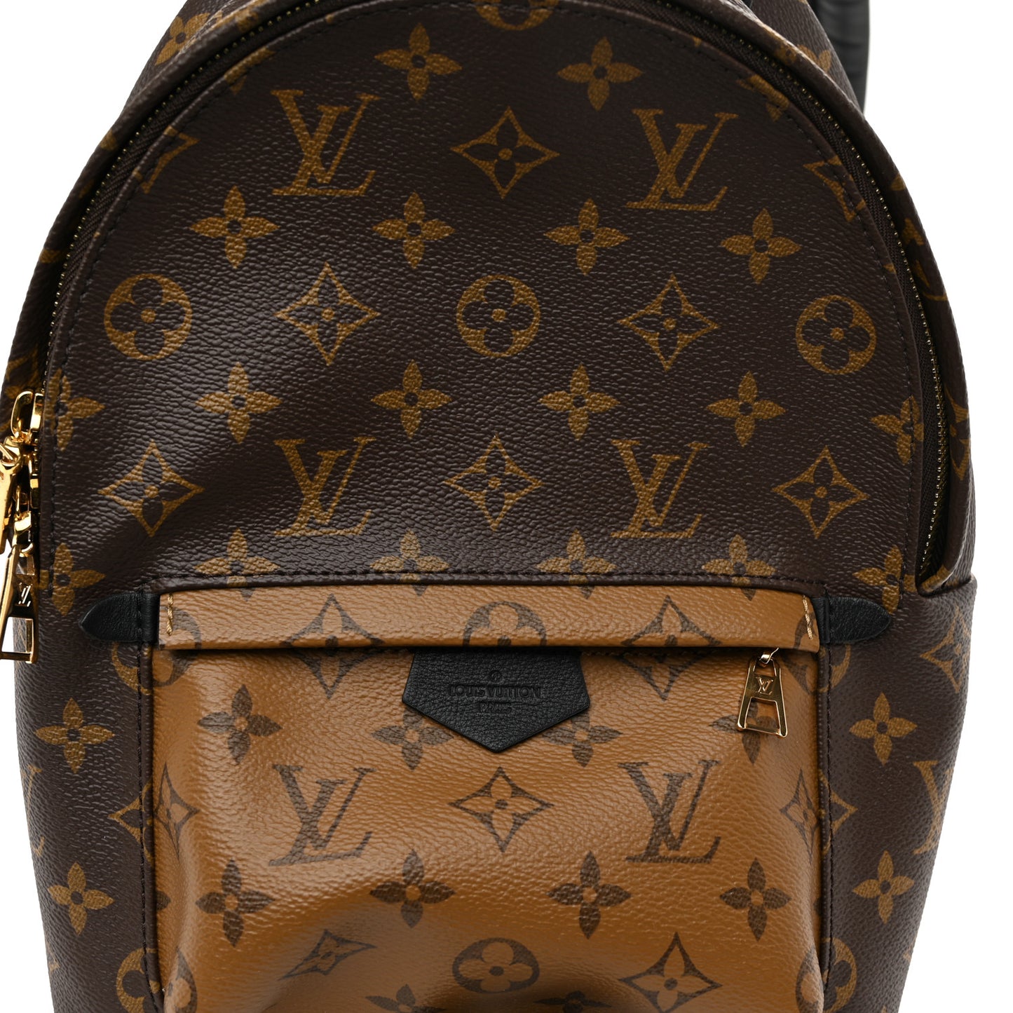 Reverse Monogram Palm Springs Backpack PM