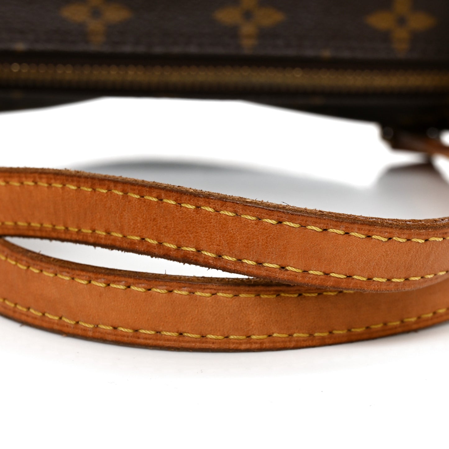 Monogram Papillon 30 with Companion