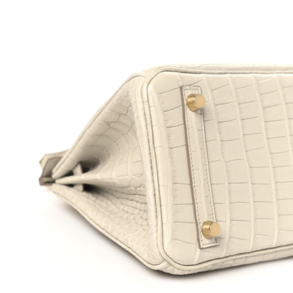 Hermes Matte Alligator Birkin 25 Beton 9 of 12