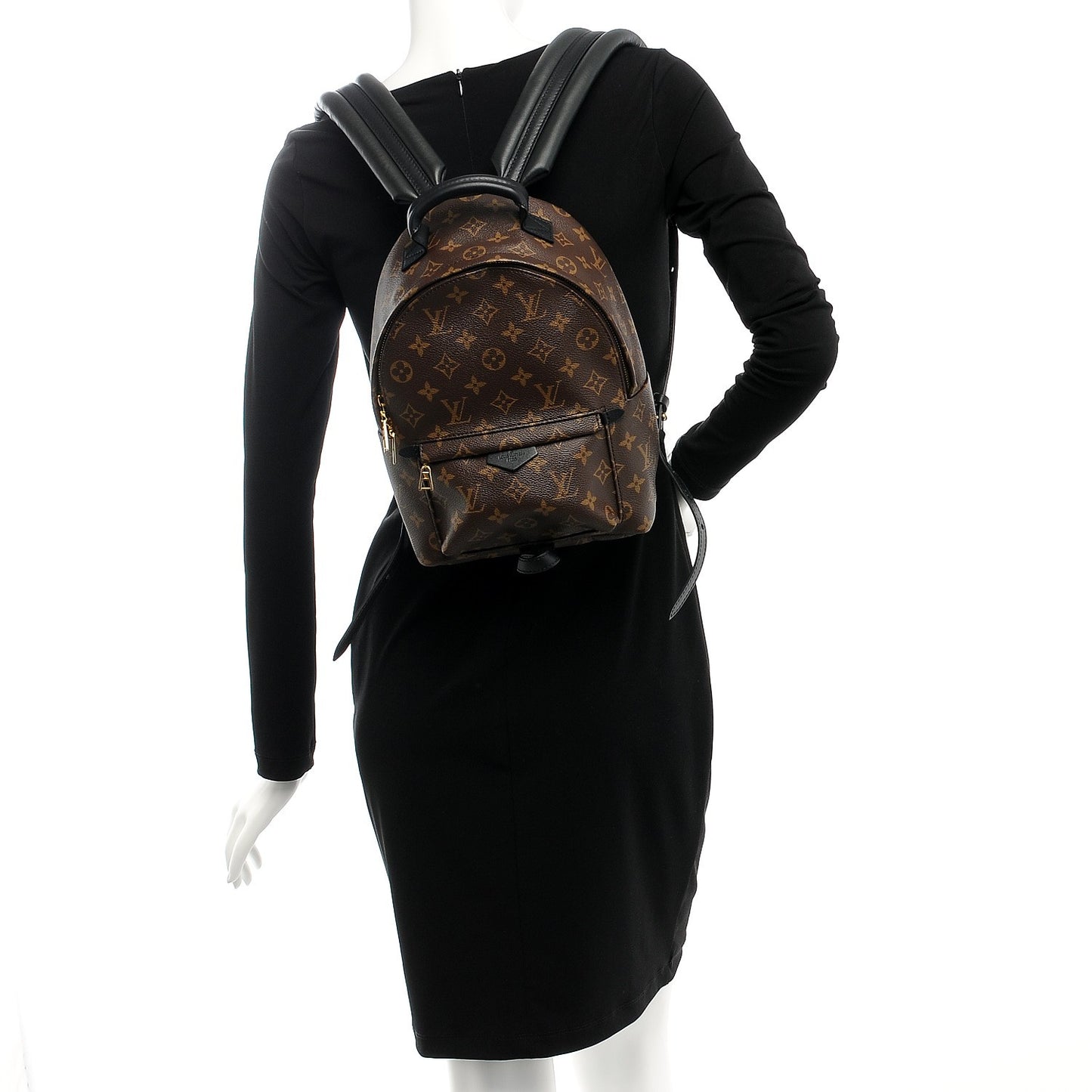 Monogram Palm Springs Backpack PM