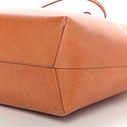 Mansur Gavriel Vegetable Tanned Calfskin Mini Bucket Bag Camello Rosa 9 of 15