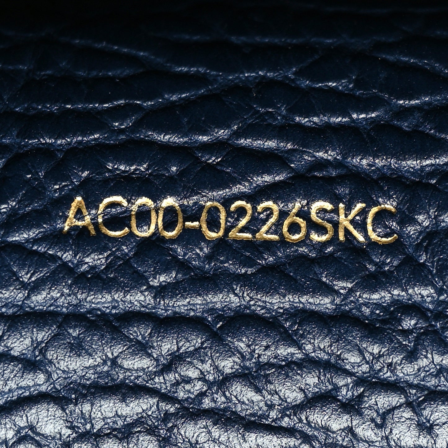 Textured Calfskin Mini Pashli Satchel Ink