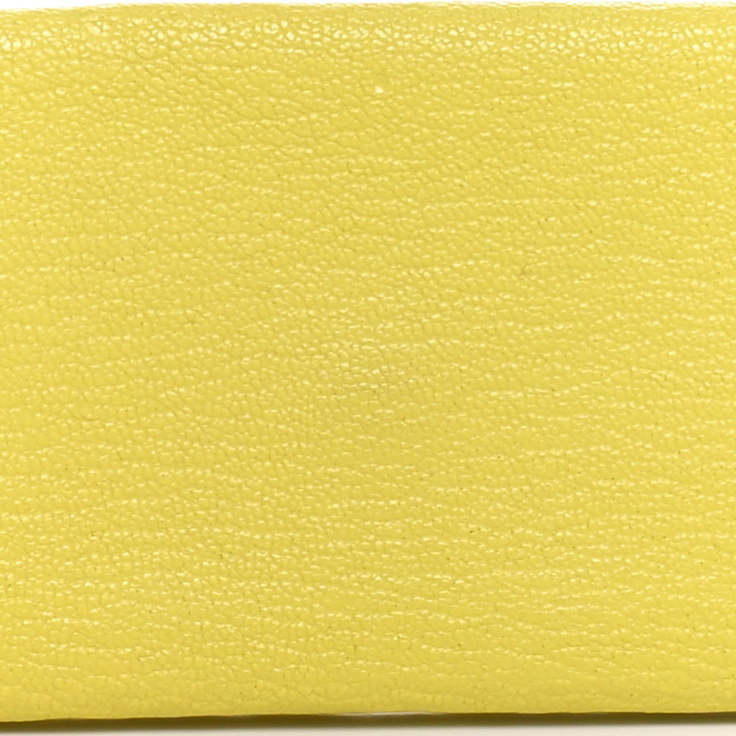Hermes Chevre Mysore Calvi Card Case Lime 8 of 8