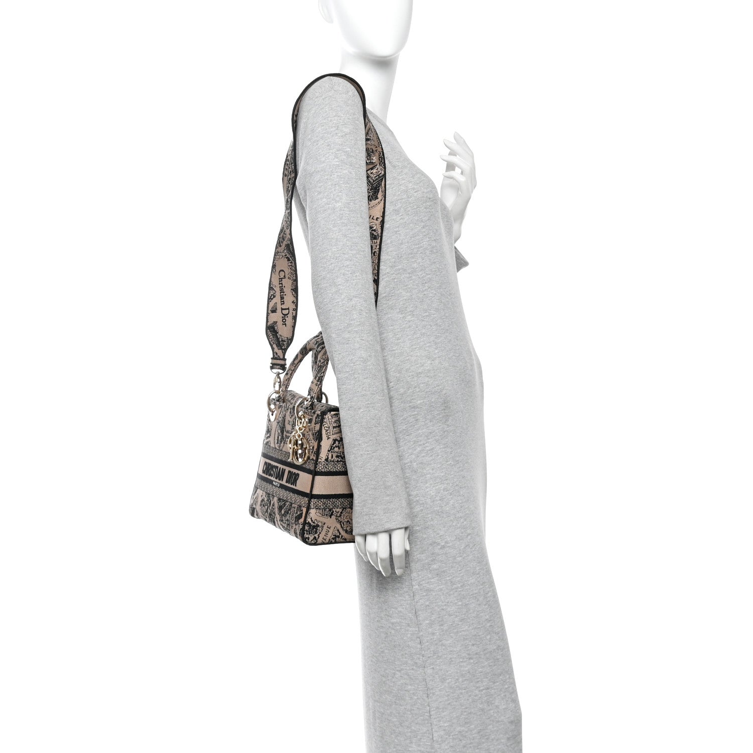 Christian Dior Canvas Embroidered Medium Plan de Paris Lady D-Lite Beige Black 2 of 9