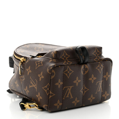 Louis Vuitton Monogram Palm Springs Backpack Mini 4 of 10