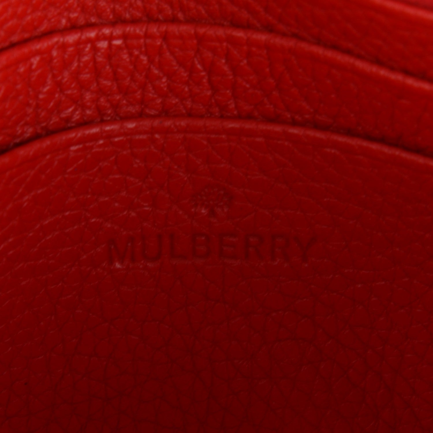 Mulberry Classic Grain Calfskin Mini Lily Hibiscus 6 of 7