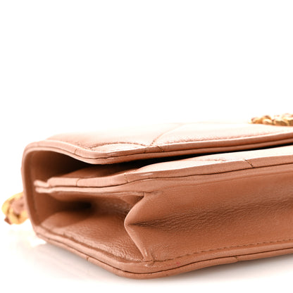 Chanel Lambskin Quilted Chanel 19 Wallet On Chain WOC Brown 10 of 12