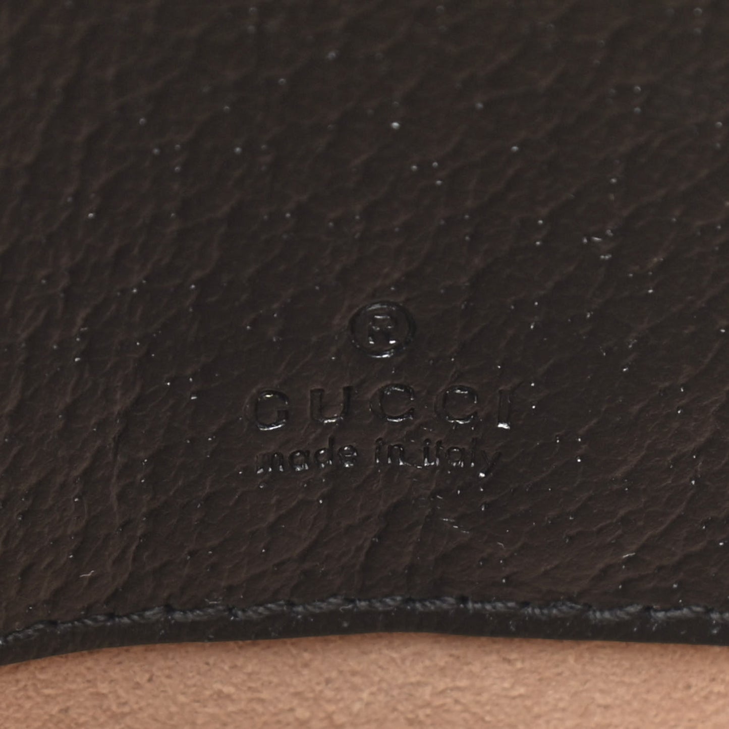 Grained Calfskin Web Mini Ophidia Round Backpack Black