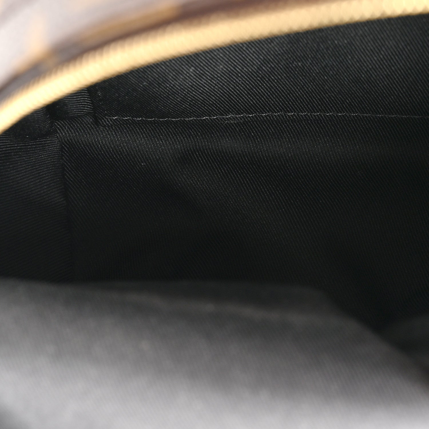 Louis Vuitton Monogram Palm Springs Backpack Mini 5 of 13