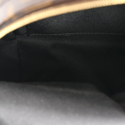 Louis Vuitton Monogram Palm Springs Backpack Mini 5 of 13