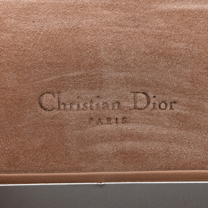 Christian Dior Ultra Matte Calfskin Saddle Belt Clutch Rose Des Vents 6 of 12