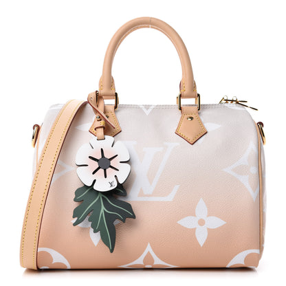 Louis Vuitton Monogram Giant By The Pool Speedy Bandouliere 25 Brume 1 of 10