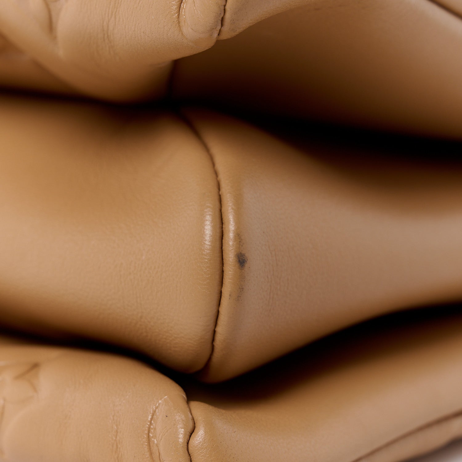 Louis Vuitton Lambskin Embossed Monogram Coussin PM Camel 12 of 12