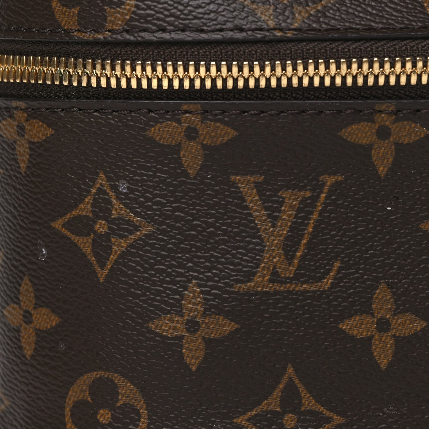 Monogram Nice Mini