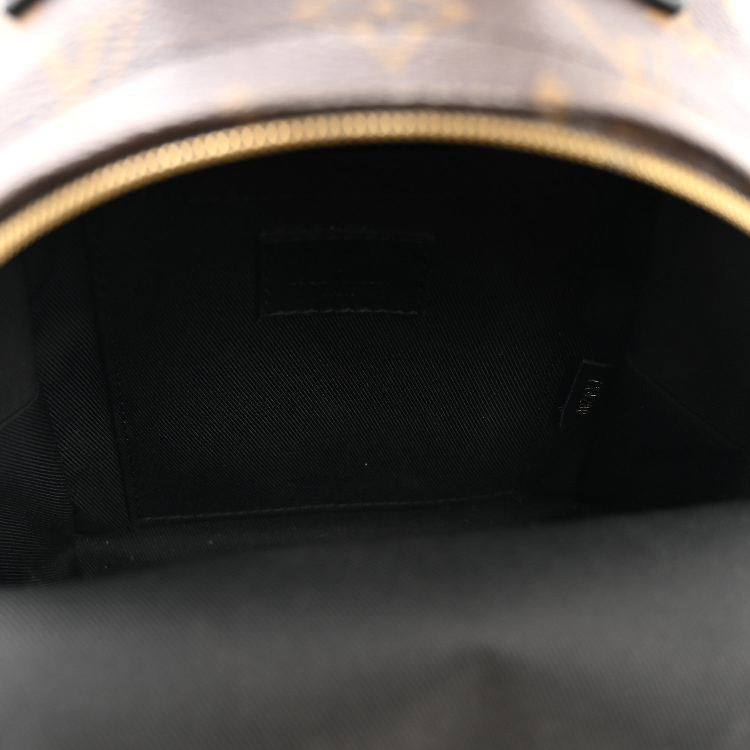 Louis Vuitton Monogram Palm Springs Backpack Mini 5 of 11