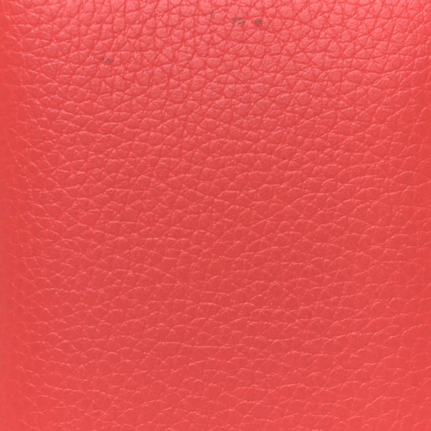 Grained Calfskin Small Skull Pocket Organizer Red