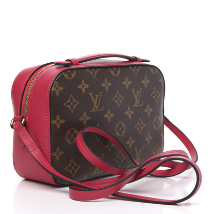 Louis Vuitton Monogram Saintonge Freesia 2 of 8