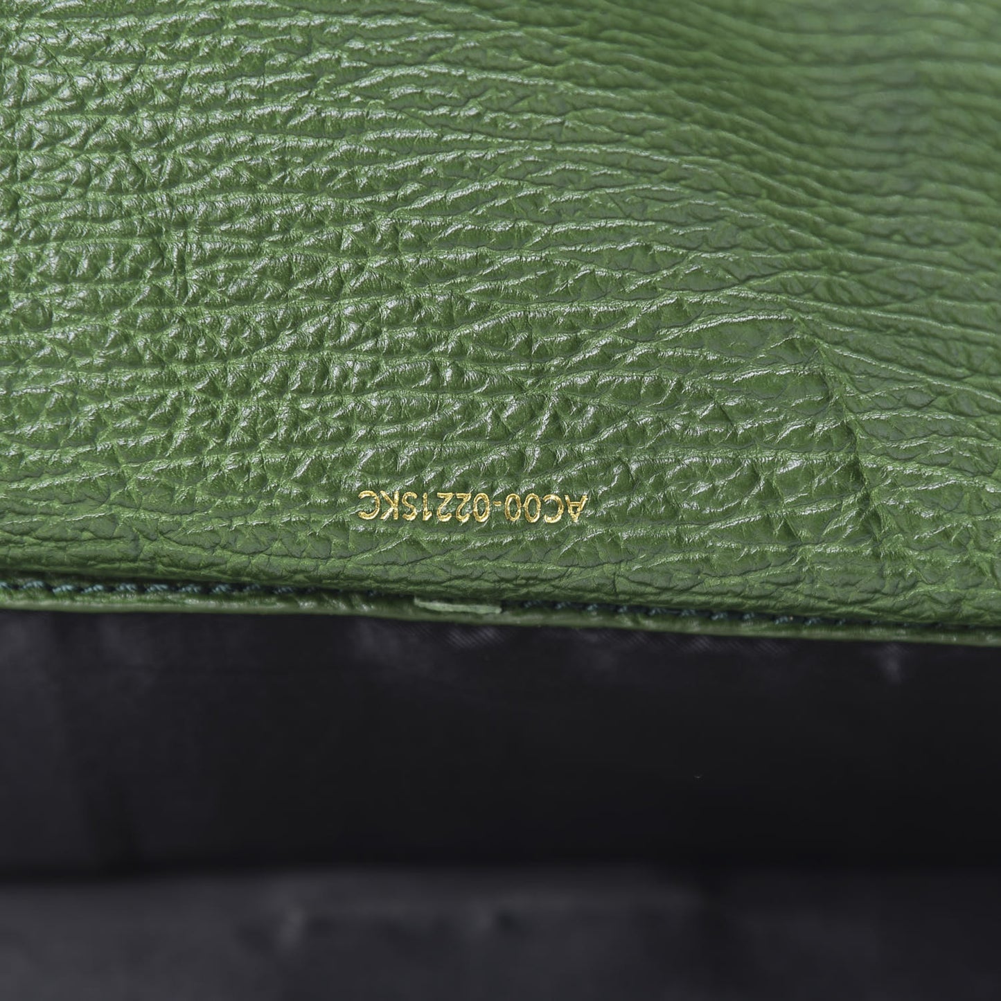 3.1 Textured Calfskin Medium Pashli Satchel Jade