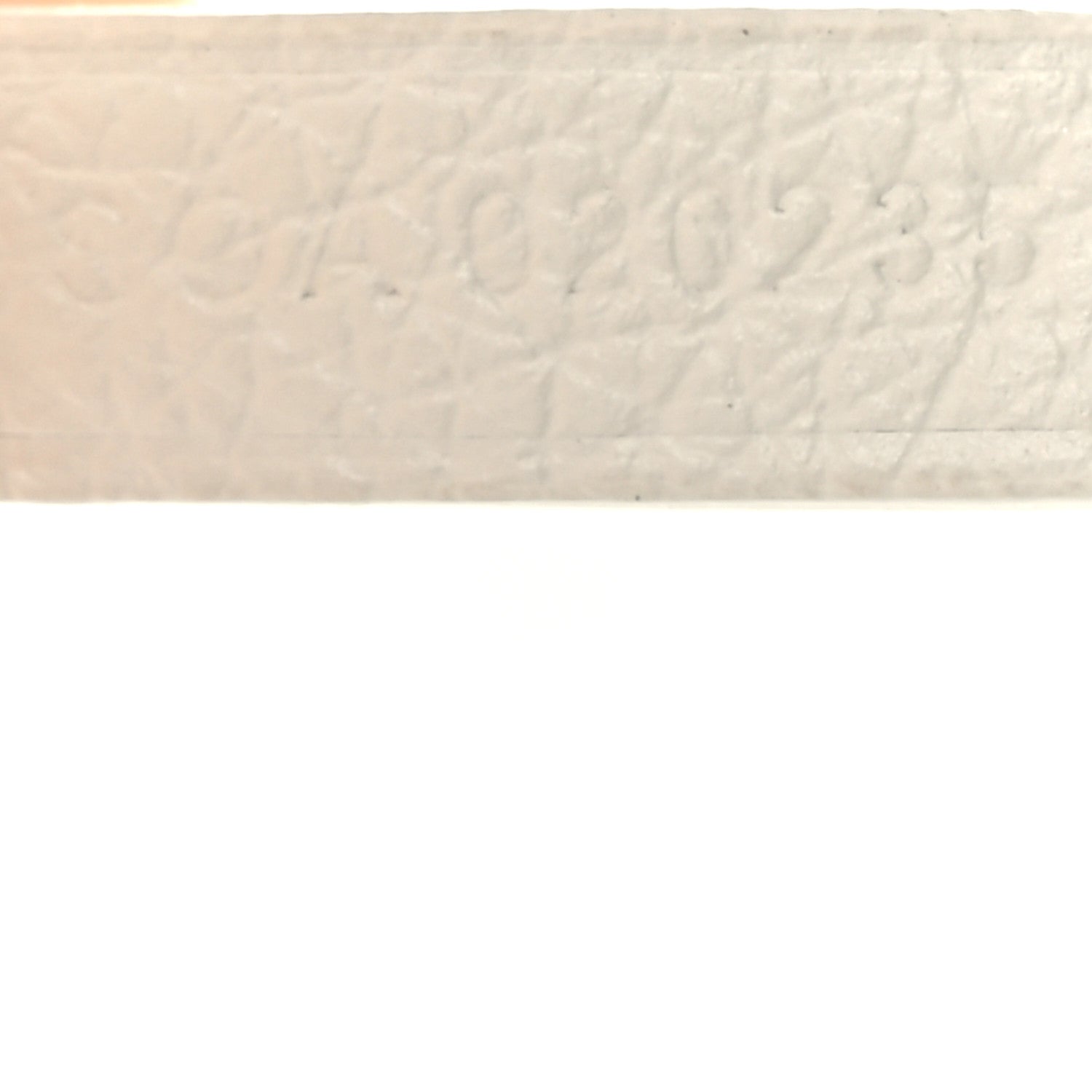 Goyard Goyardine Saint Louis GM White 8 of 10
