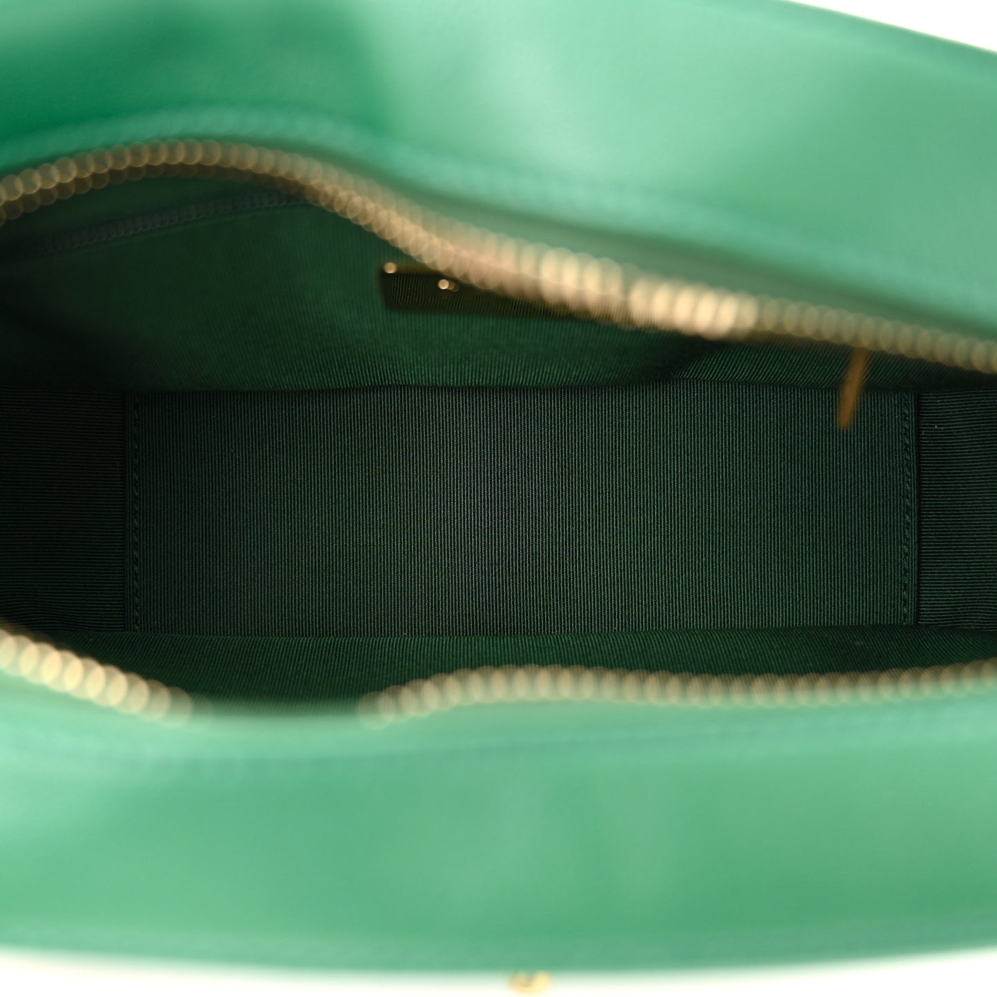 Goatskin Quilted Chanel 19 Camera Case Green