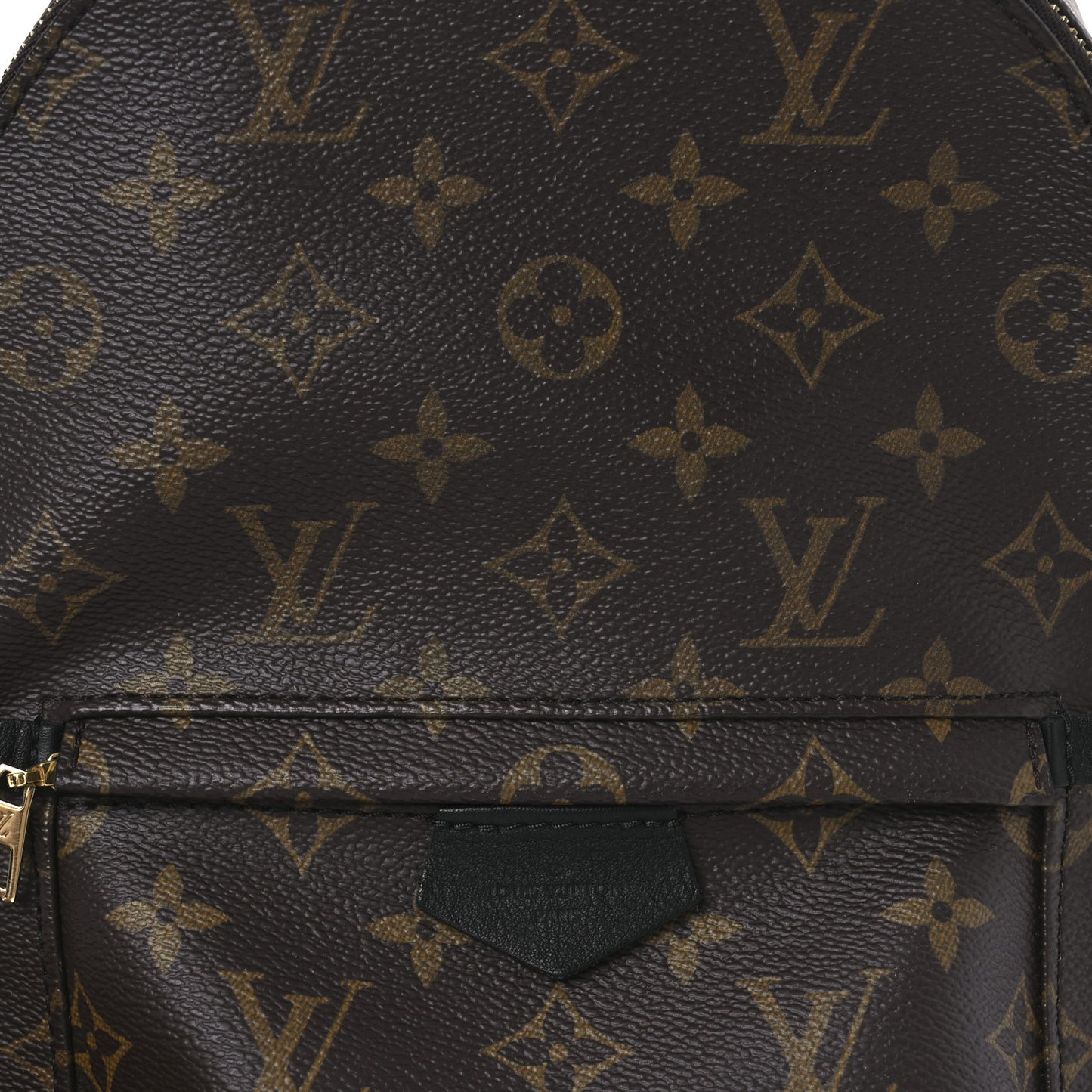 Monogram Palm Springs Backpack PM