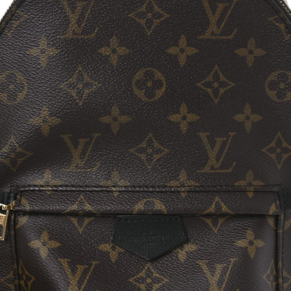 Louis Vuitton Monogram Palm Springs Backpack PM 9 of 12