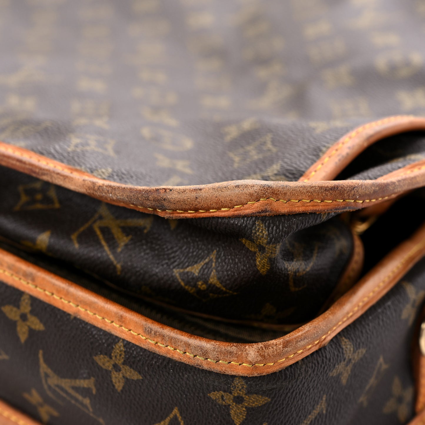 Monogram Garment Bag