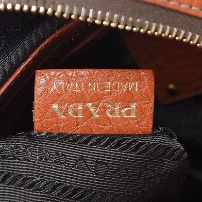Prada Vitello Daino Hobo Papaya 7 of 13