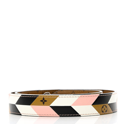 Louis Vuitton Epi Reverse Monogram Bandouliere Shoulder Strap XL Multicolor 4 of 10