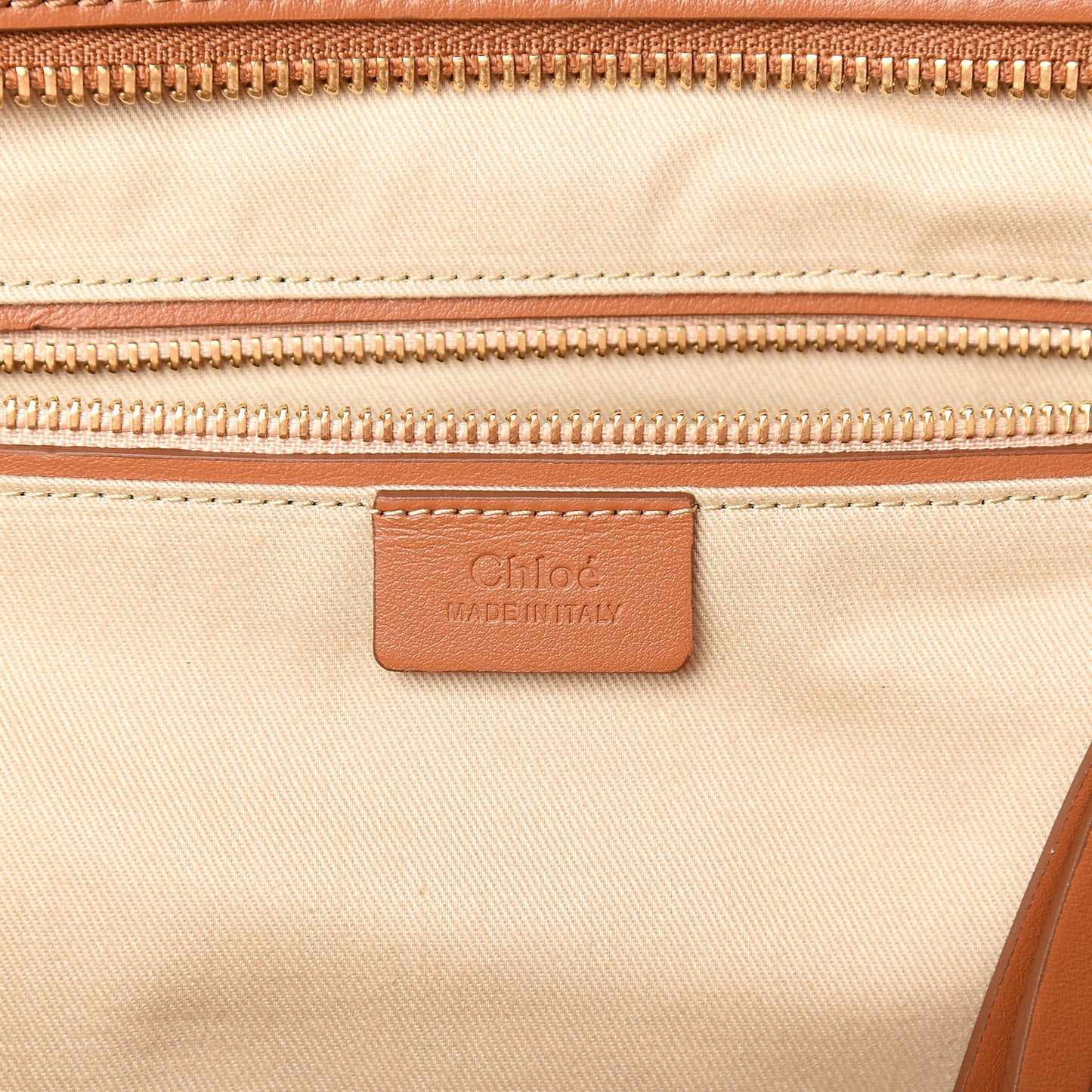 Smooth Calfskin Little Horses Embroidered Tao Zipped Tote Caramel