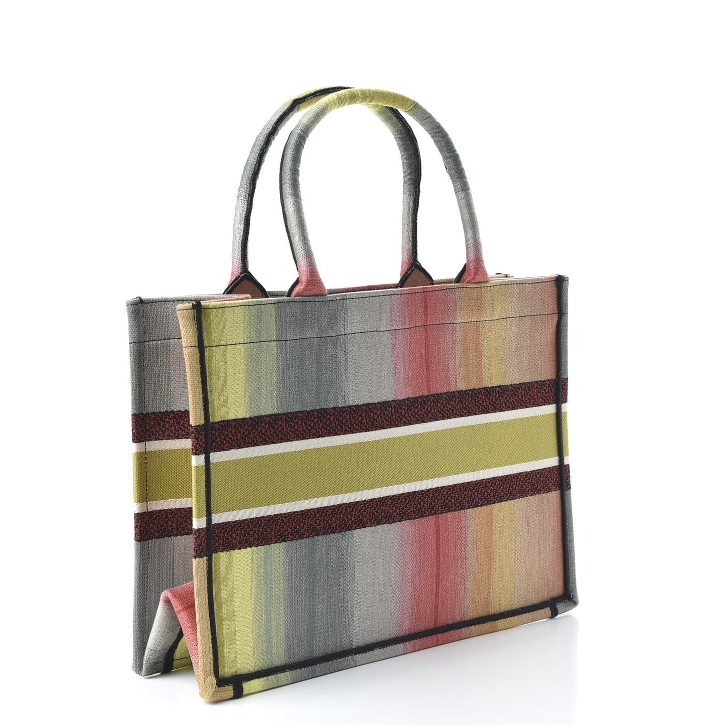 Canvas Embroidered Medium Dioraura Book Tote Multicolor