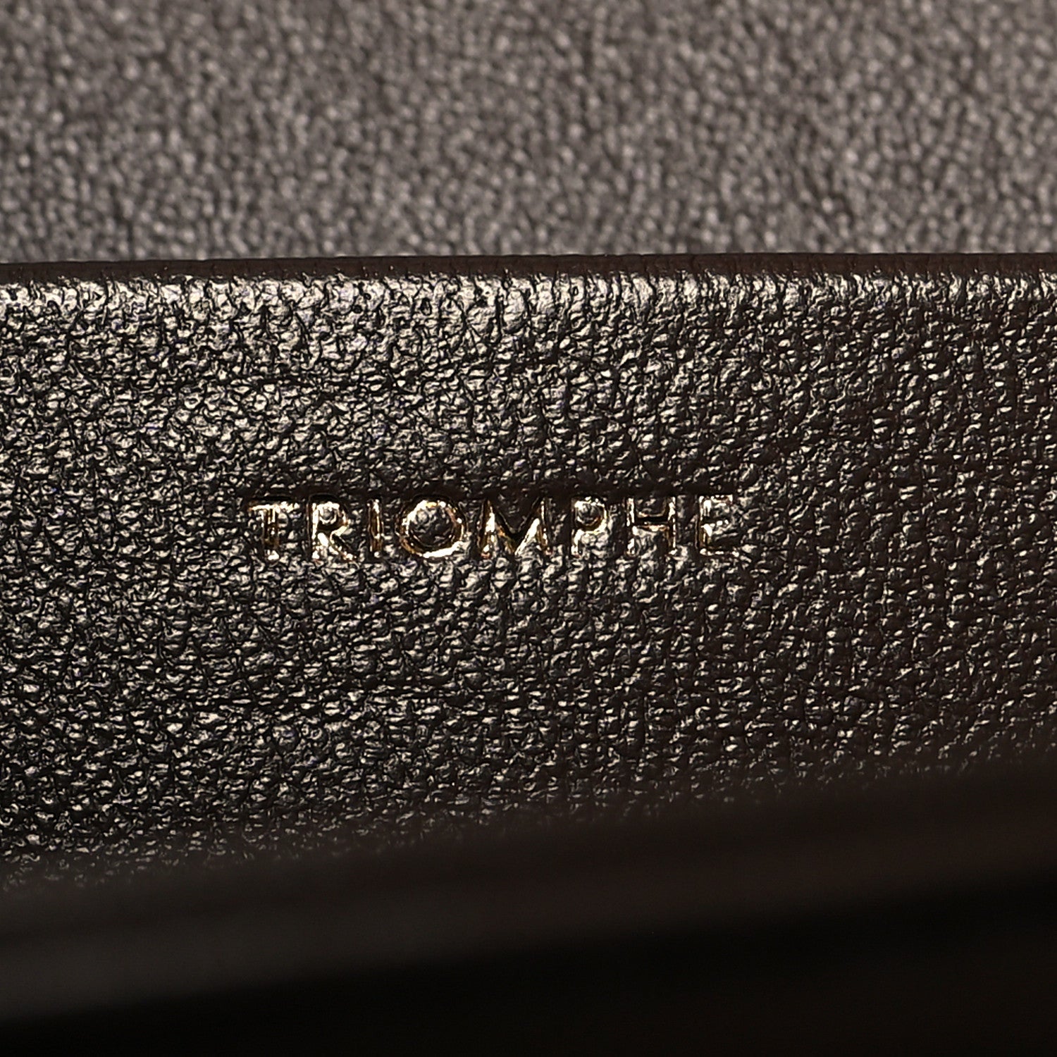 Celine Shiny Calfskin Medium Triomphe Ecorce 8 of 11
