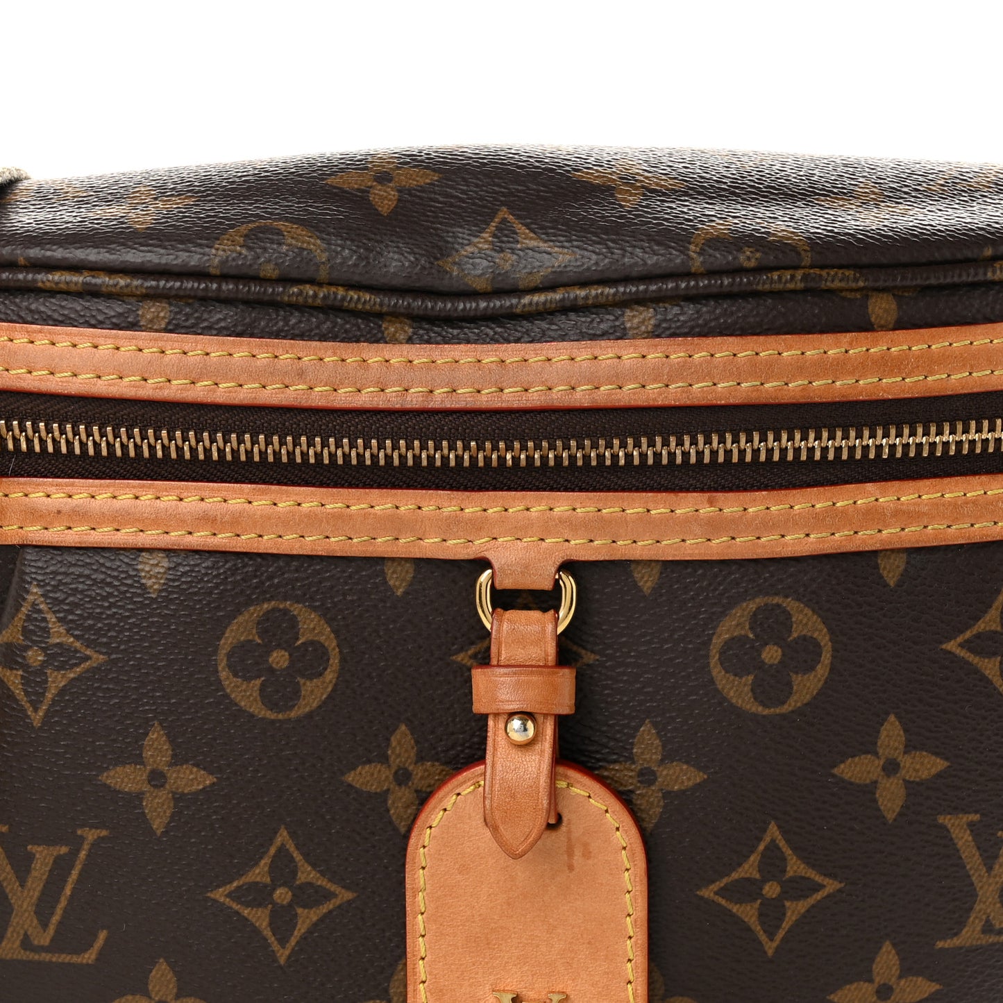 Monogram High Rise Bumbag