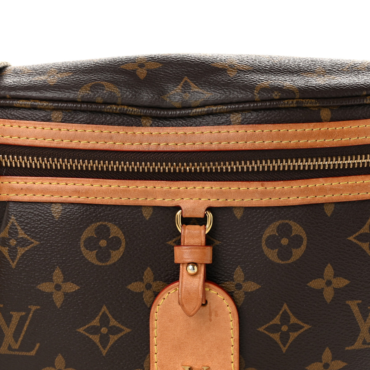 Louis Vuitton Monogram High Rise Bumbag 6 of 10