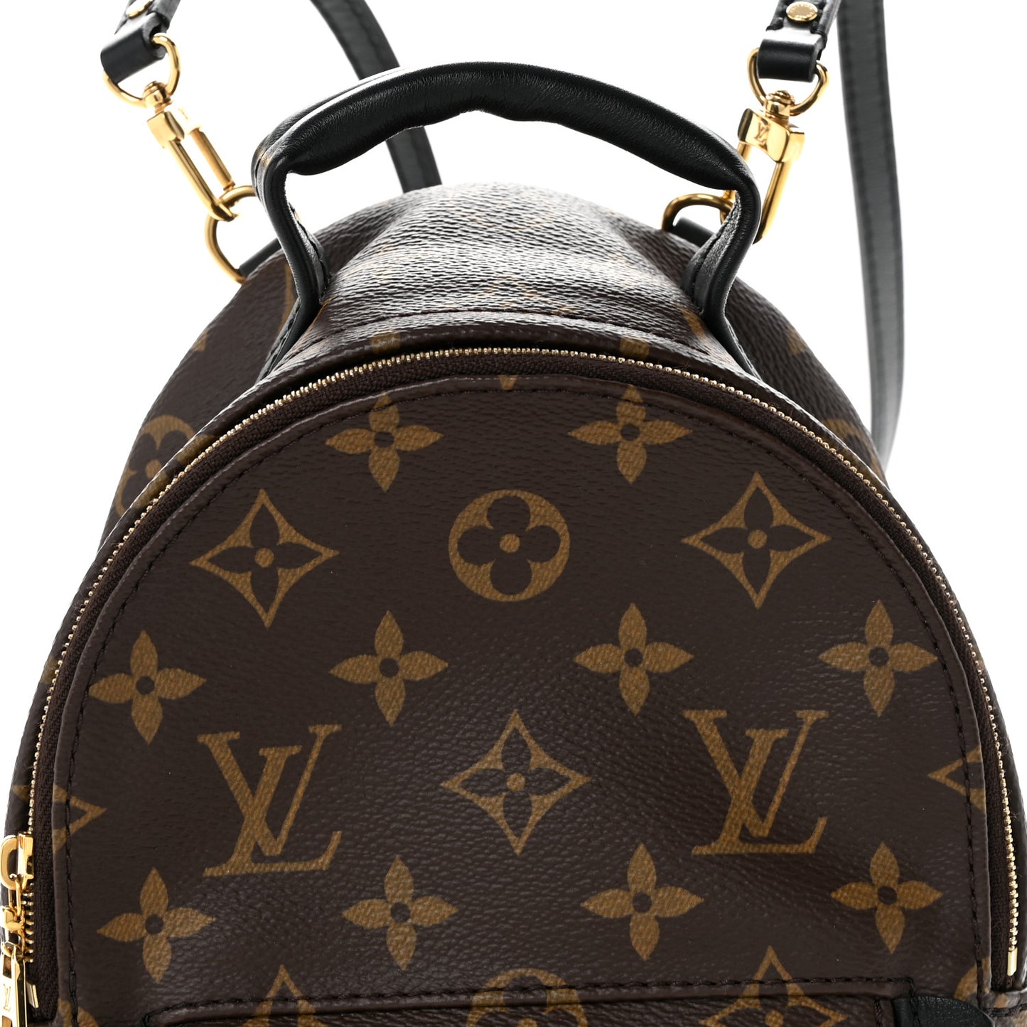 Monogram Palm Springs Backpack Mini