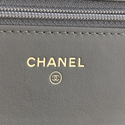 Chanel Lambskin Quilted Boy Wallet On Chain WOC Grey 6 of 18