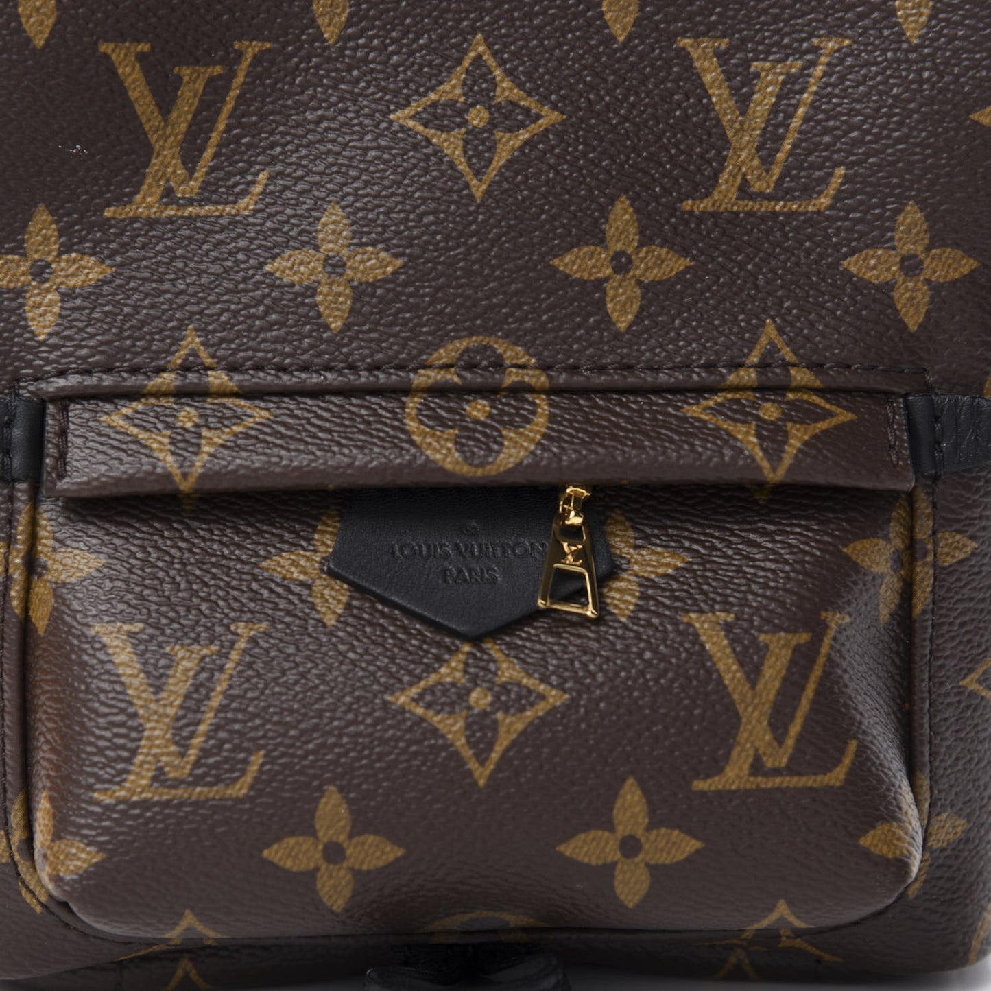 Monogram Palm Springs Backpack Mini